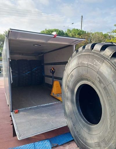 GONATAS Μεταφορική