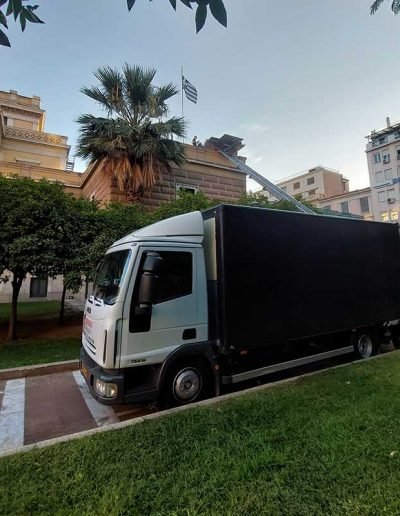 GONATAS Μεταφορική