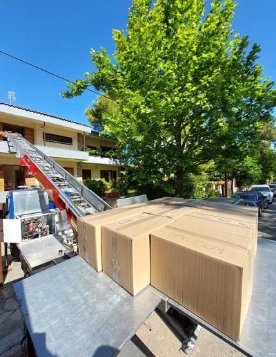 GONATAS Μεταφορική